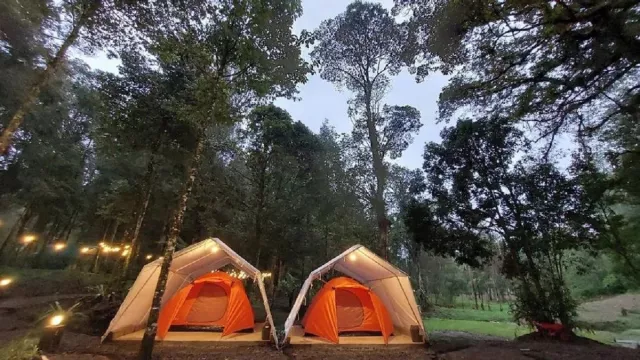 Hejo Forest, Rekomendasi Wisata di Bandung yang Wajib Kamu Kunjungi - GenPI.co JABAR