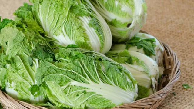 Sawi Putih Sayuran Sejuta Manfaat, Cocok untuk yang Sedang Diet - GenPI.co JABAR