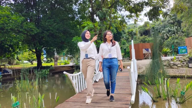 Taman Akuatik, Tempat Wajib Dikunjungi Bila ke Kebun Raya Bogor - GenPI.co JABAR