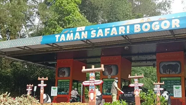 Tips Nyaman Berlibur di Taman Safari Indonesia Cisarua, Catat Baik-Baik - GenPI.co JABAR