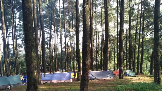 5 Tempat Camping di Sekitar Semarang, Pemandangannya Top! - GenPI.co JATENG