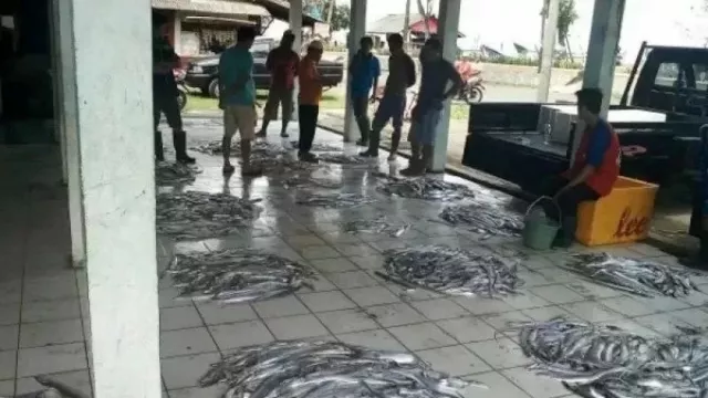 Waduh, Siklon Tropis Bikin Tangkapan Ikan Nelayan Cilacap Menurun - GenPI.co JATENG