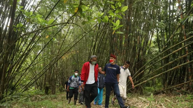 Wuih! Hutan Bambu di Tabanan Bali Ini Akan Dinamai Ganjar - GenPI.co JATENG