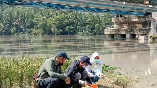 Ribuan Ikan Mati, DLH Banyumas Ambil Sampel Air Serayu - GenPI.co JATENG