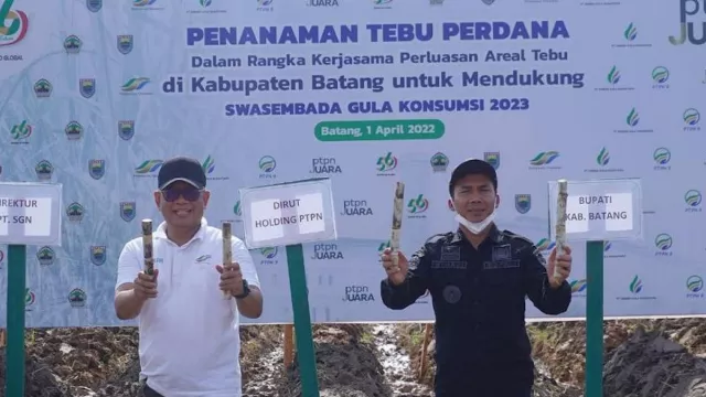 Ribuan Hektare Lahan di Batang Bakal Ditanami Tebu - GenPI.co JATENG