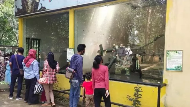 Jurug Solo Zoo Buka Sedekah Satwa - GenPI.co JATENG