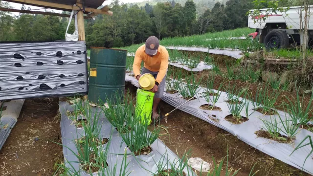 Tumpang Gilir, Pertanian Sistem Kearifan Lokal di Temanggung - GenPI.co JATENG