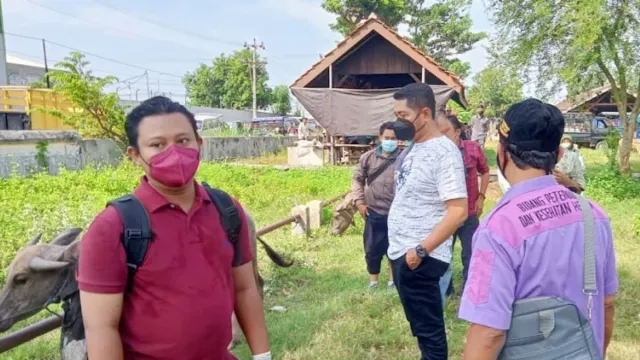 Cegah PMK, Kendal Perketat Surveilans Ternak di Pasar Hewan - GenPI.co JATENG