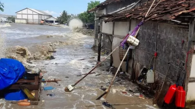 Puluhan Rumah di Pati Terendam Banjir Rob - GenPI.co JATENG