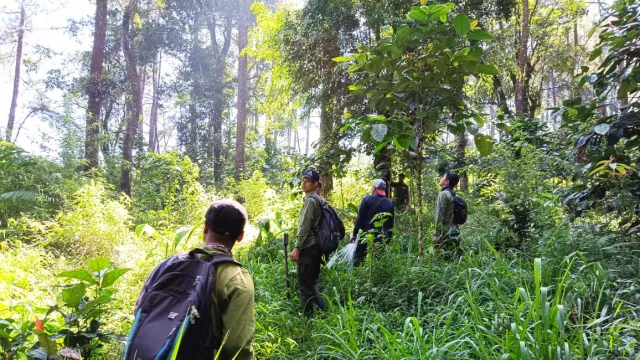 Pertamina Ikut Lestarikan Keanekaragaman Hayati di Gunung Lawu - GenPI.co JATENG