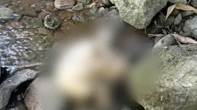 Ngeri! Kerangka Manusia Ditemukan di Tepi Sungai Depok Kendal - GenPI.co JATENG