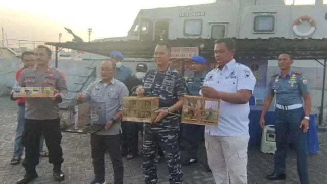 Duh! 2 ABK Selundupkan Burung Dilindungi di Pelabuhan Tanjung Emas - GenPI.co JATENG