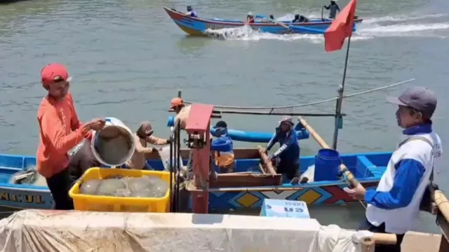 Alhamdulillah! Nelayan di Cilacap Panen Ubur-Ubur - GenPI.co JATENG