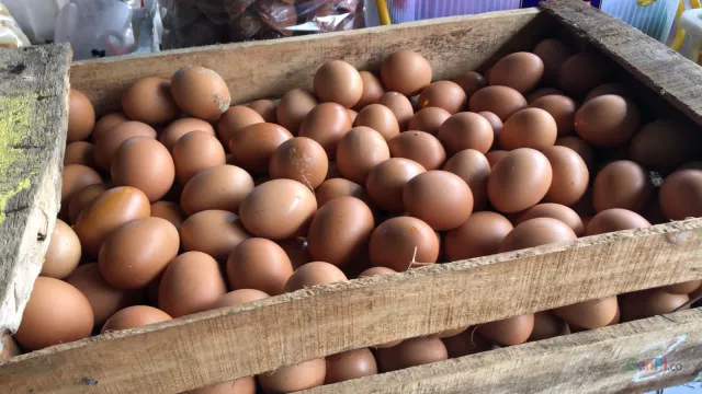 Harga Telur Ayam di Solo Tembus Rp 30.000/Kg - GenPI.co JATENG