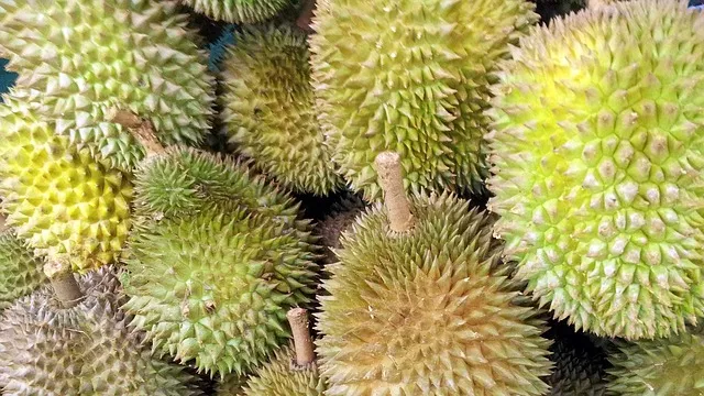 Durian Ternyata Punya Banyak Manfaat Loh, Yuk Simak - GenPI.co JATIM