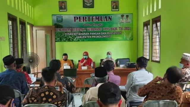 Petani Tembakau Probolinggo Dapat Pelatihan Dari DKPP - GenPI.co JATIM