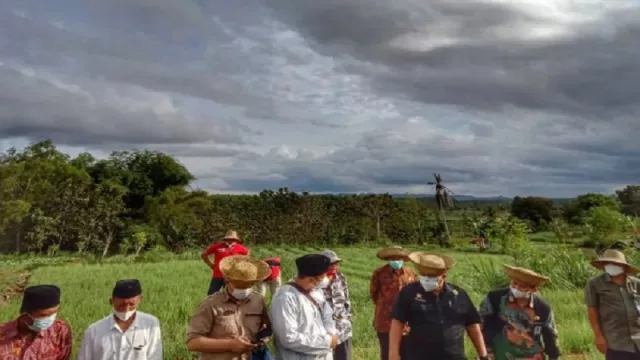 Cabai Rawit dan Bawang Merah, Andalan Petani Sumenep Siap Ekspor - GenPI.co JATIM
