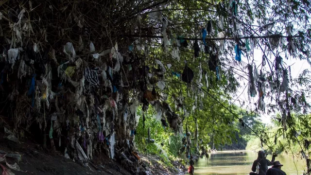 Ekspedisi Sungai Nusantara: Ada 200 Pohon Sampah di Kali Marmoyo - GenPI.co JATIM