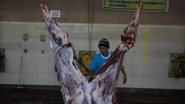 RPH Surabaya Gelar Operasi Pasar Daging Sapi Murah, Cek Lokasinya - GenPI.co JATIM