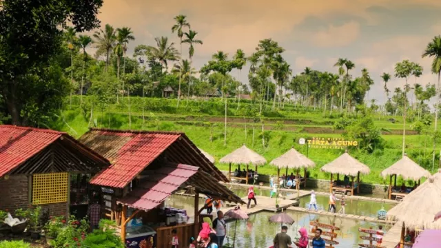 Wisata Tirta Agung Bondowoso, Kolam Renang di Tengah Sawah - GenPI.co JATIM