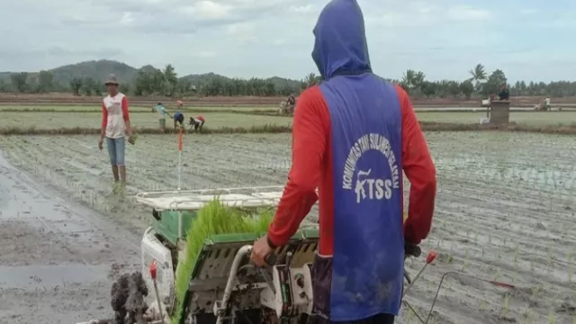 Lahan Pertanian Terbatas, IP 400 Solusinya - GenPI.co JATIM