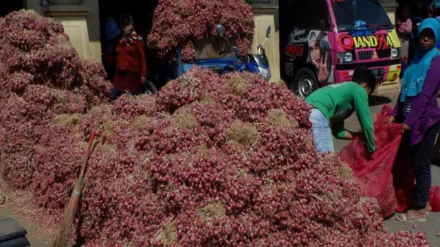 Harga Bawang Merah di Surabaya Naik, Cabai Rawit jadi Rp100 Ribu - GenPI.co JATIM