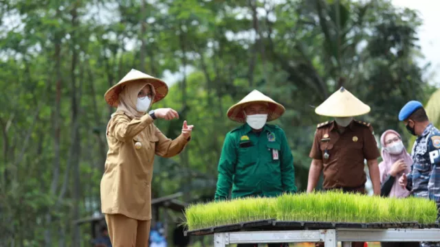 Pemkab Banyuwangi Punya Solusi Pertahankan Lahan Pertanian, Lihat - GenPI.co JATIM