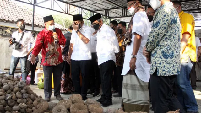 Petani Porang Mojokerto Senang, ini Sebabnya - GenPI.co JATIM