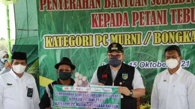 PTPN X Beri Susidi Bibit, Petani Senang - GenPI.co JATIM