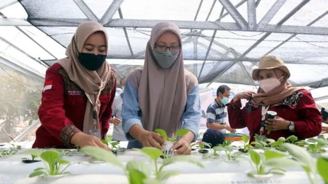 UMSurabaya Punya Cara Jempolan, Bercocok Tanam di Lahan Terbatas - GenPI.co JATIM