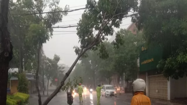 Pohon Tumbang Akibat Hujan Deras di Surabaya, ini Lokasinya - GenPI.co JATIM