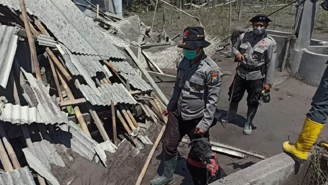 Awas Penjarahan, Polda Jatim Patroli di Jalur Evakuasi Semeru - GenPI.co JATIM