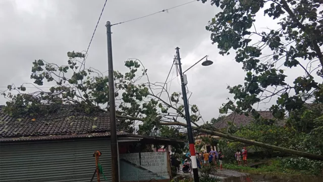 Rumah Warga di Malang Rusak Tertimpa Pohon, Akibat Hujan - GenPI.co JATIM