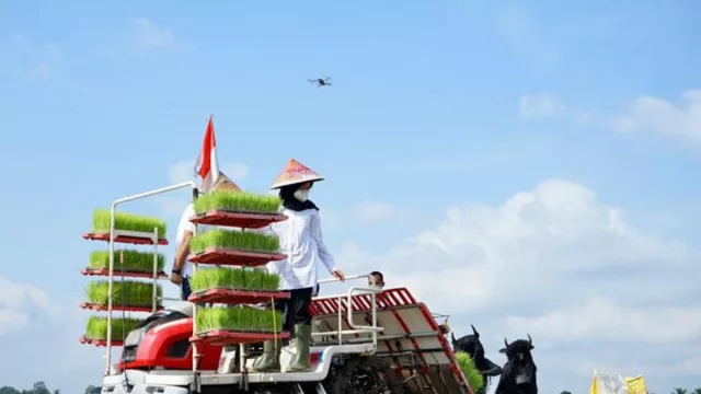 Kementan Gelontor Ratusan Ton Benih Padi di Banyuwangi, Hamdalah - GenPI.co JATIM