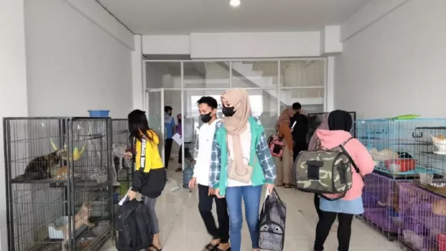 Masyarakat Berdatangan Adopsi Kucing Ditelantarkan di Surabaya - GenPI.co JATIM