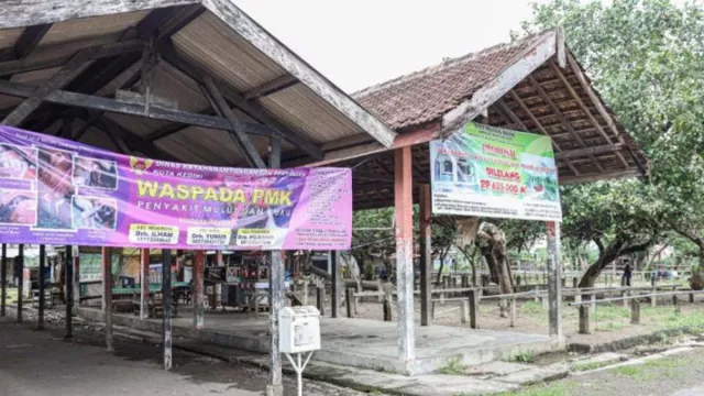 Antisipasi Wabah PMK, Pasar Hewan di Kediri Tutup - GenPI.co JATIM