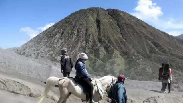 Penjelasan TNBTS Terkait Wisatawan Gunung Bromo Dipalak Ojek Kuda - GenPI.co JATIM