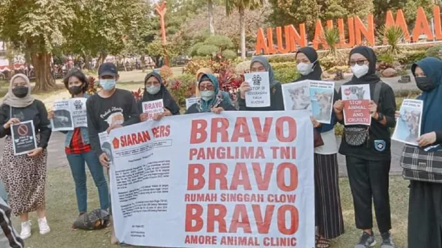Komunitas Pencinta Kucing Malang Bicara Soal Penembak di Sesko TNI - GenPI.co JATIM