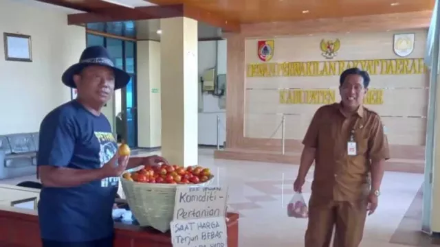 Harga Tomat Anjlok, Petani Bagi Gratis di Gedung DPRD Jember - GenPI.co JATIM