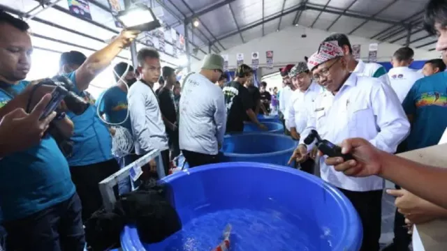 1.200 Ikan Unjuk Gigi di Banyuwangi Young Koi Show 2022 - GenPI.co JATIM