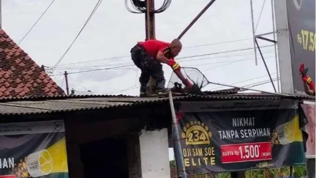 Warga Sukorame Kediri Geger, Kawanan Monyet Serbu Kampung - GenPI.co JATIM