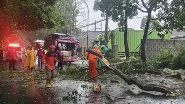 Cuaca Ekstrem di Malang Sebabkan Banjir Hingga Pohon Tumbang - GenPI.co JATIM