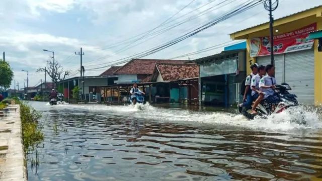 Hujan Deras Menyebabkan 3 Desa di Sidoarjo Banjir, Warga Pasrah - GenPI.co JATIM