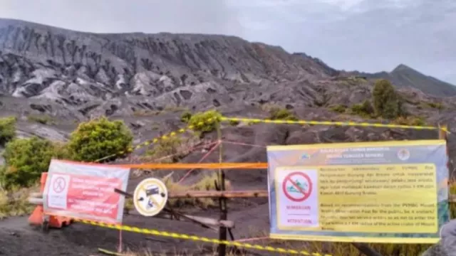 Aktivitas Gunung Bromo Naik, BPBD Jatim Beri Alarm Penting Buat Warga - GenPI.co JATIM