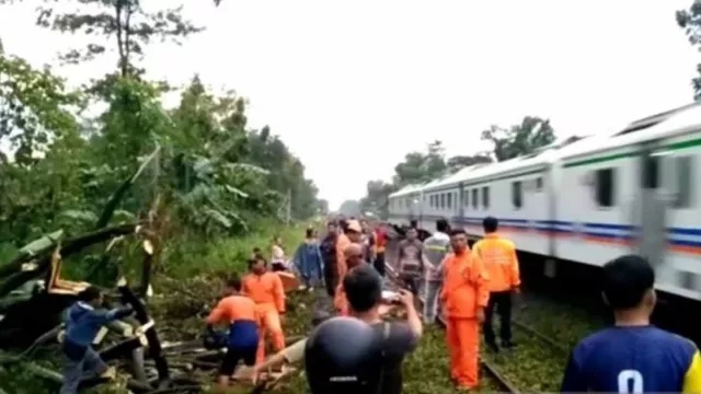 Pohon Tumbang di Madiun Tutup Jalur Kereta Api, Butuh 1 Jam Evakuasi - GenPI.co JATIM