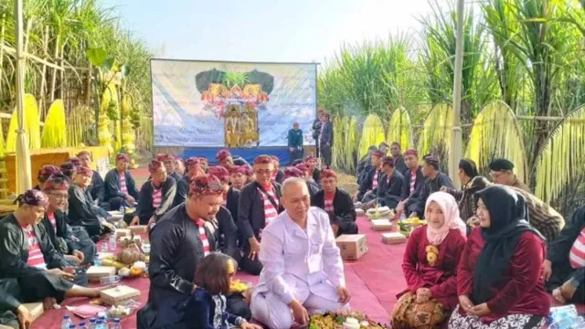 Tradisi Petik Tebu Manten, Pilihan Baru Wisata di Lumajang - GenPI.co JATIM
