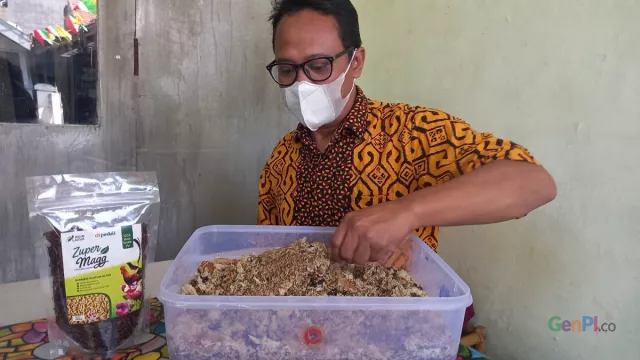 Intip Peluang Usaha Melalui Budi Daya Maggot di Tengah Pandemi - GenPI.co JATIM