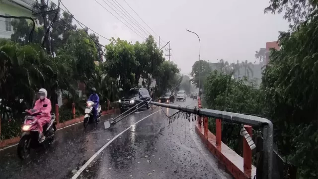 Hujan Disertai Angin Kencang, Tumbangkan Pohon dan PJU - GenPI.co JATIM