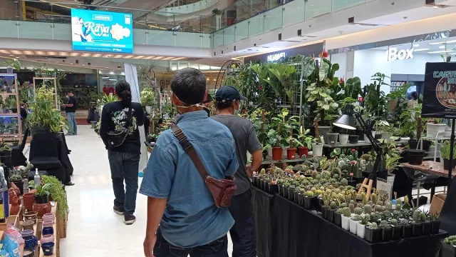 Meriahnya Exotic Plants Surabaya, Grand City Mall Mendadak Hijau - GenPI.co JATIM
