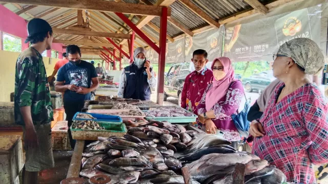 Harga Lobster di Malang Terjun Bebas, Nelayan Rugi Ratusan Juta - GenPI.co JATIM